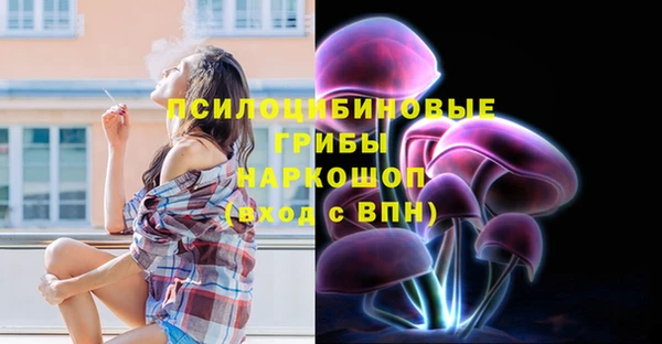 тгк Ростов