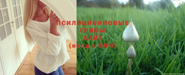 гашиш Беломорск